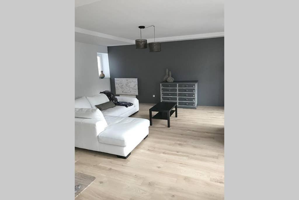 Annonay Centre, Grand Appartement Cosy, 3 Chambres Экстерьер фото
